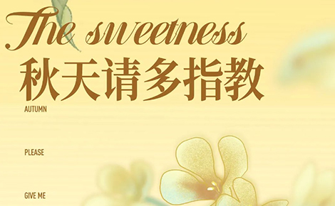 Recipe Gallery丨Autumn sweetness begins with layer cake